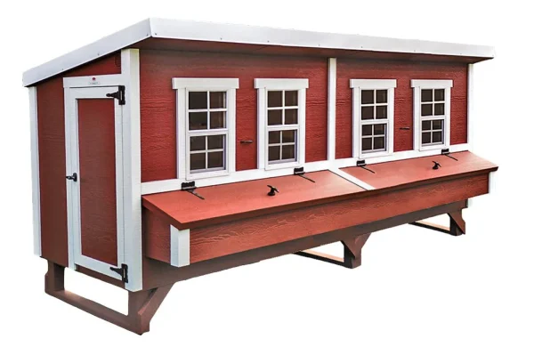 Jumbo 30‑Chicken Coop