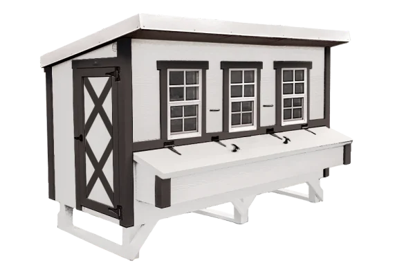 Extra Large 20‑Chicken Coop