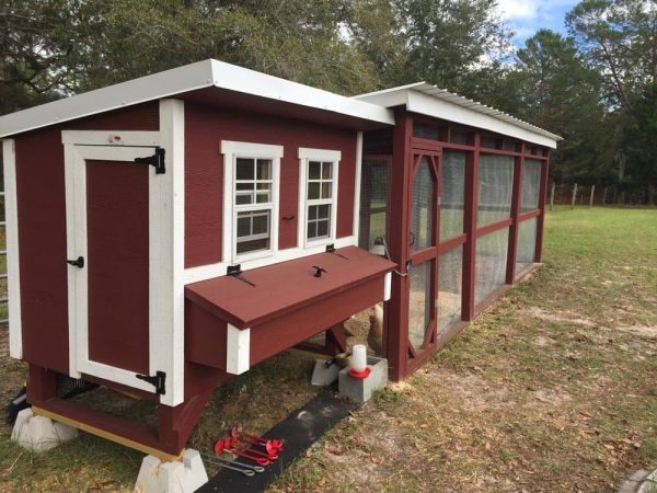 Large 15‑Chicken Coop - Image 4