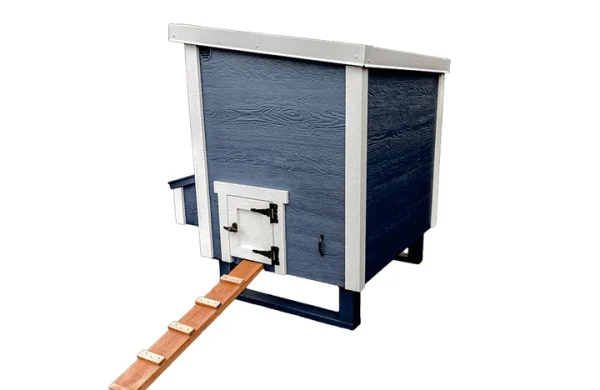 Medium 10‑Chicken Coop - Image 4