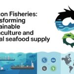 dragon fisheries